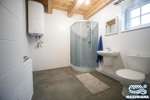 uma casa de banho com um chuveiro, um WC e um lavatório. em Mazuriana - domy wypoczynkowe nad jeziorem em Skomack Wielki
