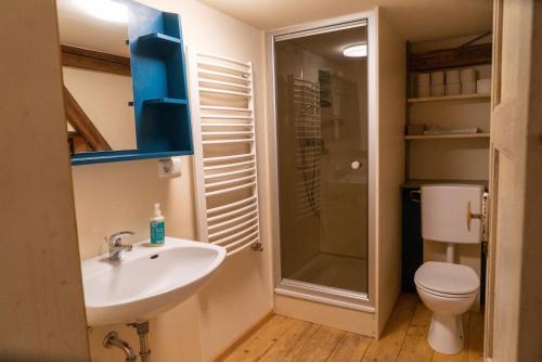 a bathroom with a sink and a toilet and a shower at Ferienwohnung am Schmiedhof in Amerang