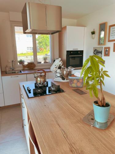 uma cozinha com um balcão de madeira com um vaso de plantas em Maison de famille avec grand jardin, 2 chambres - proche centre-ville em Plouha