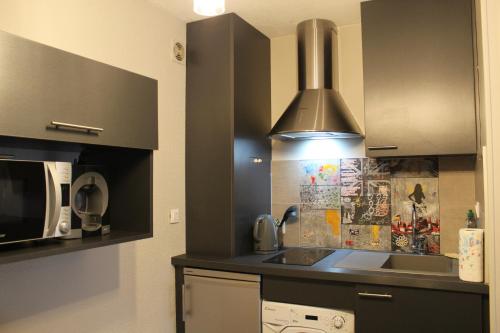 Η κουζίνα ή μικρή κουζίνα στο Oyonnax Bellignat Appart Hotel