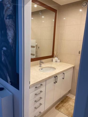 een badkamer met een wastafel en een spiegel bij Perle rare nations in Genève