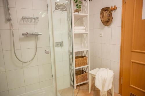 a shower with a glass door in a bathroom at Birkenhof App 65 "Dünennest" in Wustrow