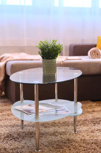 a glass table with a potted plant on top of it at Trón Apartman in Siklós