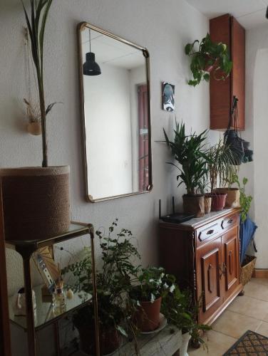 Zimmer mit Topfpflanzen und einem Spiegel an der Wand in der Unterkunft Casa Bahía in Arbúcies