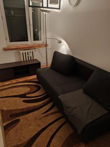 ein Wohnzimmer mit einem Sofa und einem Teppich in der Unterkunft Całe mieszkanie 2 pokojowe na wyłączność centrum Częstochowy, bardzo blisko Jasnej Góry in Częstochowa