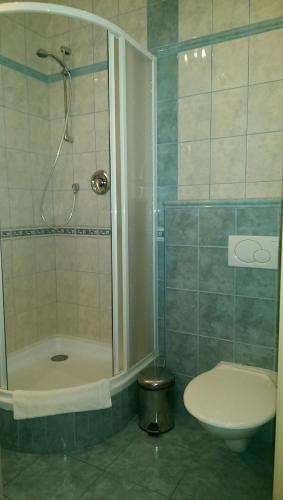 uma casa de banho com um chuveiro, um WC e um lavatório. em Casino & Pension Admiral Dolní Dvořiště em Dolní Dvoriste