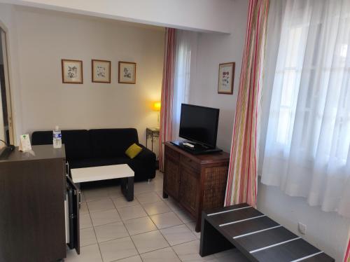 a living room with a couch and a television at Hôtel et Appart'Hôtel Le Relais Du Val D'Orbieu in Ornaisons