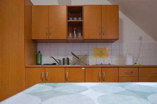 a kitchen with wooden cabinets and a sink at Ubytovna Toulcův dvůr in Prague