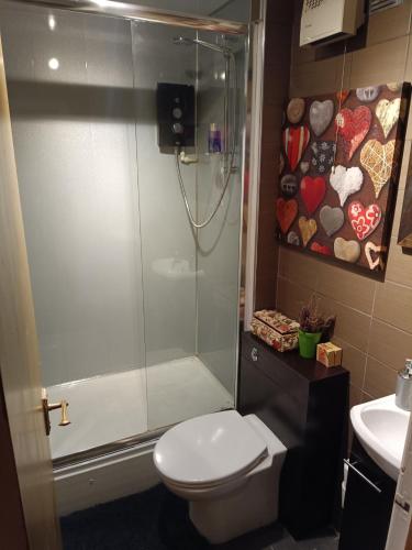 uma casa de banho com um chuveiro, um WC e um lavatório. em Open space studio in Shawlands em Glasgow