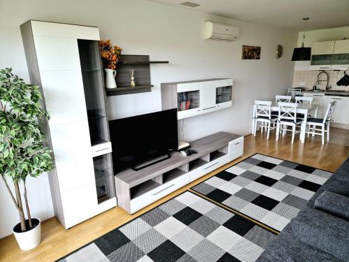 un soggiorno con TV e divano di THE BIG SPACE - Apartmaji PANONIA a Moravske Toplice