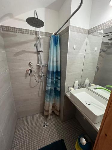 een badkamer met een douche en een wastafel bij Haus Im Park in Neusiedl am See