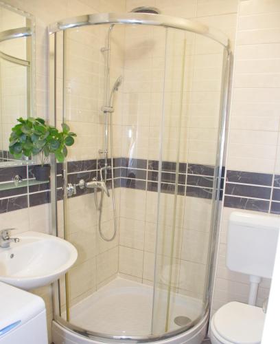 a bathroom with a shower and a toilet and a sink at Apartment MiraMar in Novalja