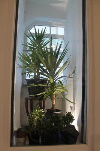 Φωτογραφία από το άλμπουμ του Real Guest House στην Costa da Caparica