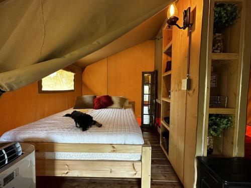 a dog laying on a bed in a tent at 12 Fires Luxury Glamping #5 in Johnson City