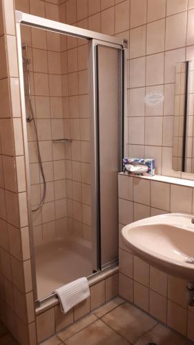 W łazience znajduje się prysznic i umywalka. w obiekcie Burg Bollendorf by PRISMA w mieście Bollendorf