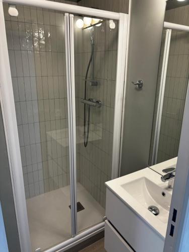 een badkamer met een douche en een wastafel bij Villa Francia Cannes in Cannes