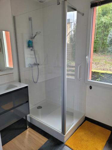een glazen douche in een badkamer met een wastafel bij Gîte T2 A l'orée d'Angers in Avrillé