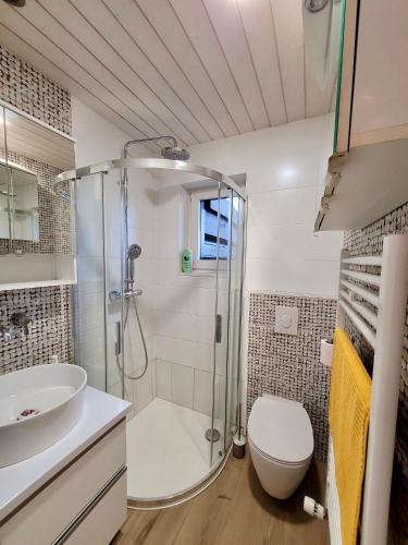 uma casa de banho com um chuveiro, um WC e um lavatório. em Chalet Nature Park "Apartment Spiez"-Self Check-in em Thun