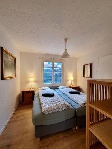Schlafzimmer mit einem Bett und einem Fenster in der Unterkunft Chalet Nature Park "Apartment Spiez" in Thun