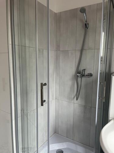 y baño con ducha y puerta de cristal. en Am Rhein, en Kaub