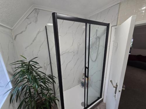 um chuveiro com uma porta de vidro ao lado de uma planta em Beautiful 4 bedroom house 7 minutes from Luton Airport em Luton