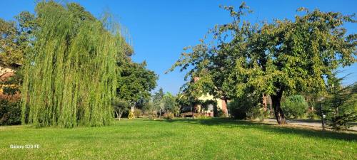 a park with weeping willows and green grass at Il giardino di Marianna in Novi Ligure