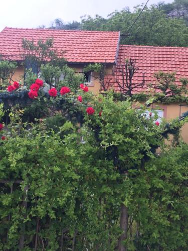 Fotografie z fotogalerie ubytování Apartman Lili v destinaci Cetinje