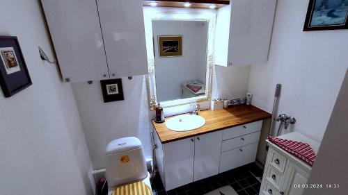 La petite salle de bains est pourvue d'un lavabo et d'un miroir. dans l'établissement Kotka House, à Kotka