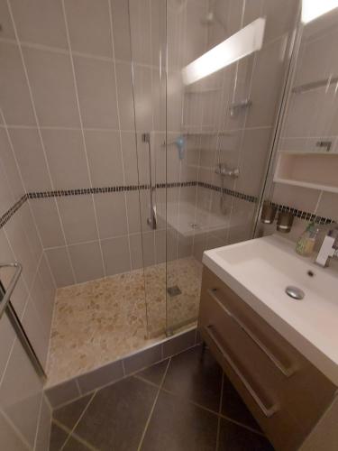 une salle de bain avec douche et lavabo dans l'établissement Appartement Cap d'Agde 2 Pièces et Mezzanine, au Cap d'Agde