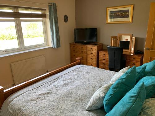 a bedroom with a bed and a tv and a window at Glasphein Annex Inverness in Culloden