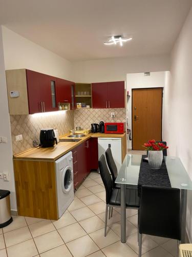 a kitchen with a table and a washing machine at Elíxir Apartman Hajdúszoboszló in Hajdúszoboszló
