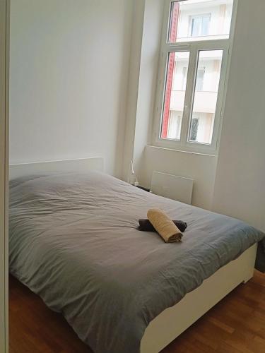 un lit dans une chambre blanche avec une fenêtre dans l'établissement 102 - Appart rénové avec grand salon et 1 chambre - Tram et Clinique Mutualiste à 1 min, à Grenoble