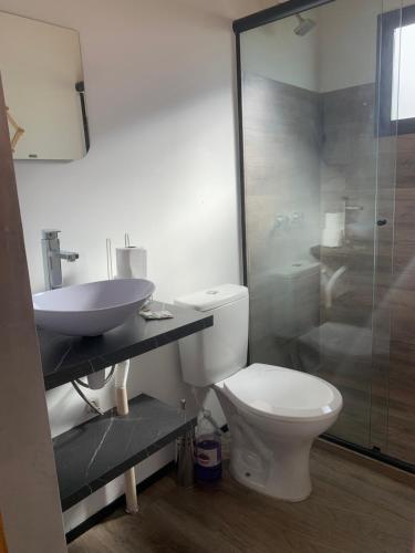 a bathroom with a toilet and a sink and a shower at Tiny House no Olival in Pelotas