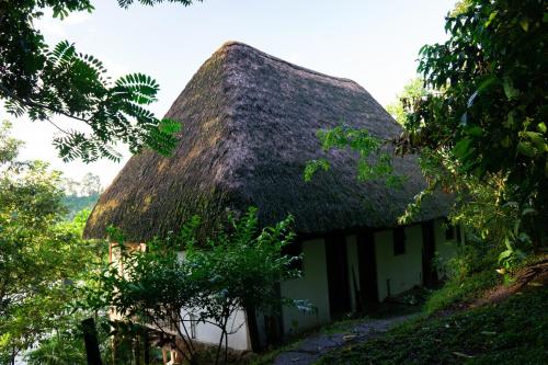 a thatch roofed house with a thatched roof at Dave the Cave Eco Lodge and Cultural Campsite in Rubirizi