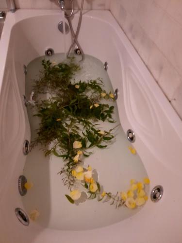 eine Badewanne mit Blumen und Blättern in der Unterkunft Casa Azul in Vila de Rei