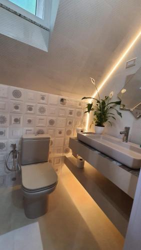 a bathroom with a toilet and a sink at Pousada Behling Haus in Pomerode
