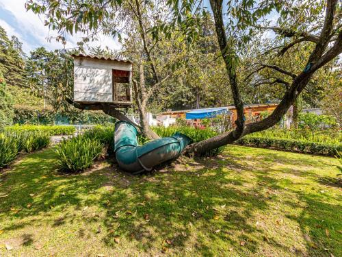 a green inflatable tube is laying next to a tree at Cabañas Elsa María, Cabañas para Hospedaje con Alberca y Jardín de Eventos in Atlautla