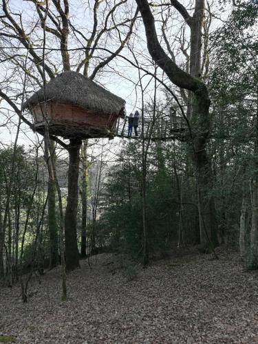 a tree house in the middle of a forest at Les hébergements insolites de Quénécan in Perret