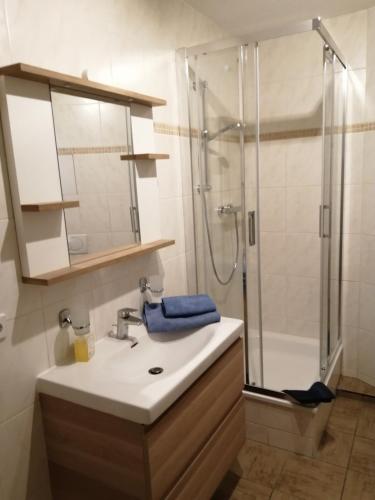 a bathroom with a sink and a shower at Apartment Am Markt 4 in Bad Gottleuba