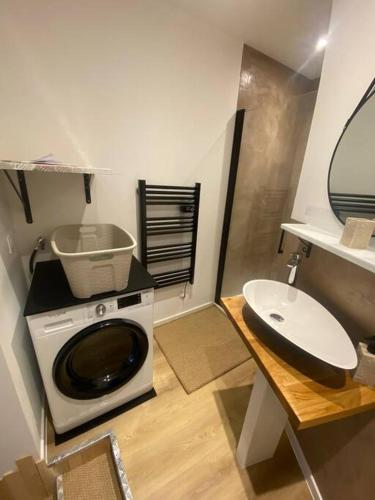une salle de bain avec une machine à laver et un lavabo dans l'établissement Studio charmant et cosy, à Saint-Brieuc