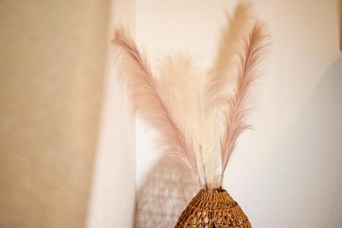 a vase with feathers sticking out of a wall at Villa Essenza - Rooms and Breakfast in Albenga
