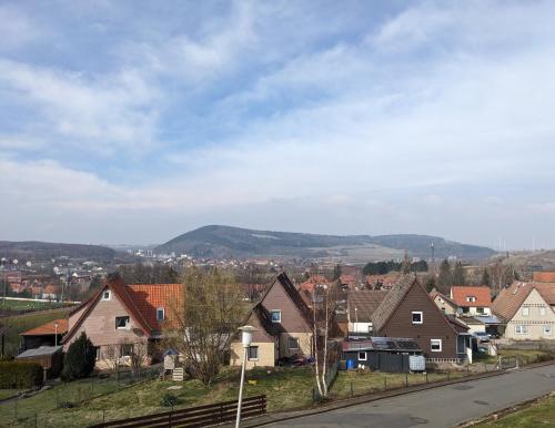 une ville avec des maisons et une montagne en arrière-plan dans l'établissement Ferienwohnung Okerblick, à Goslar