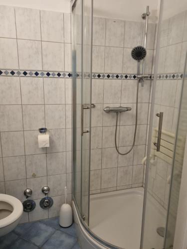 a bathroom with a shower and a toilet at Glücks Ferienwohnungen in Bremerhaven