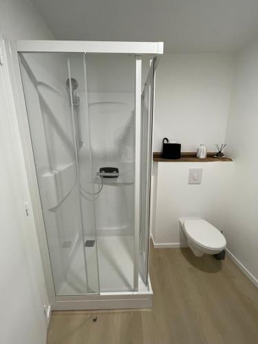 une cabine de douche dans une salle de bain avec toilettes dans l'établissement Studio Rive Gauche, à Dinan
