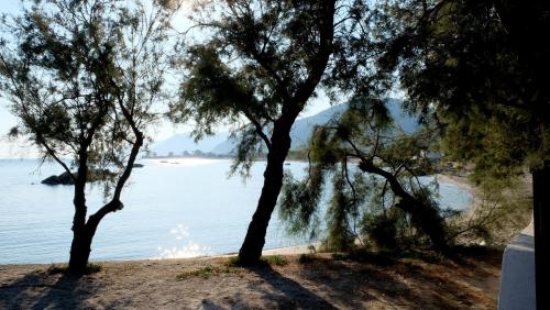 Gallery image of Testa di Monaco Natural Beach in Capo dʼOrlando