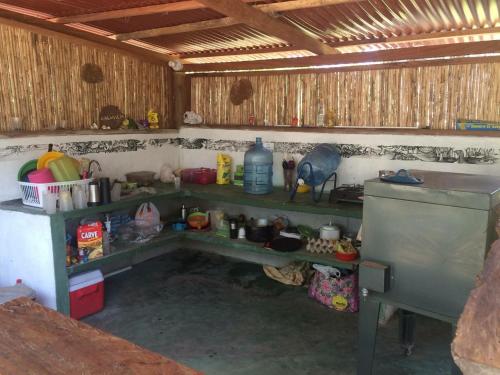 a kitchen with a counter and shelves in a room at La Aldea Hostel, Camping y Hamacas in Palomino