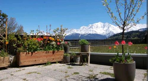 einen Garten mit Blumen und Bergen im Hintergrund in der Unterkunft La terrasse du mont Blanc in Cordon