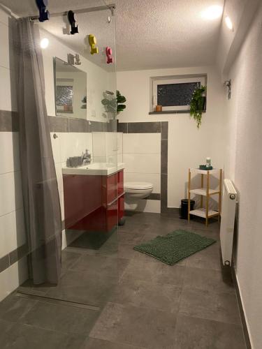 a bathroom with a shower and a sink and a toilet at Apartment Roomy Comfort - Zwischen Heidelberg und Mannheim in Edingen-Neckarhausen