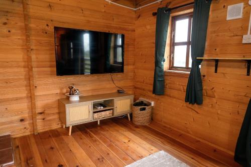 a room with a tv on a wooden wall at Reindeer Lodge by StayStaycations 