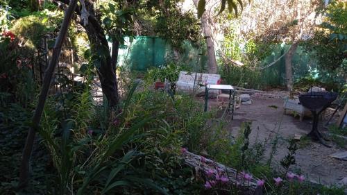 - un jardin avec un banc, un grill et des fleurs dans l'établissement Cabaña azul, à Pisco Elqui